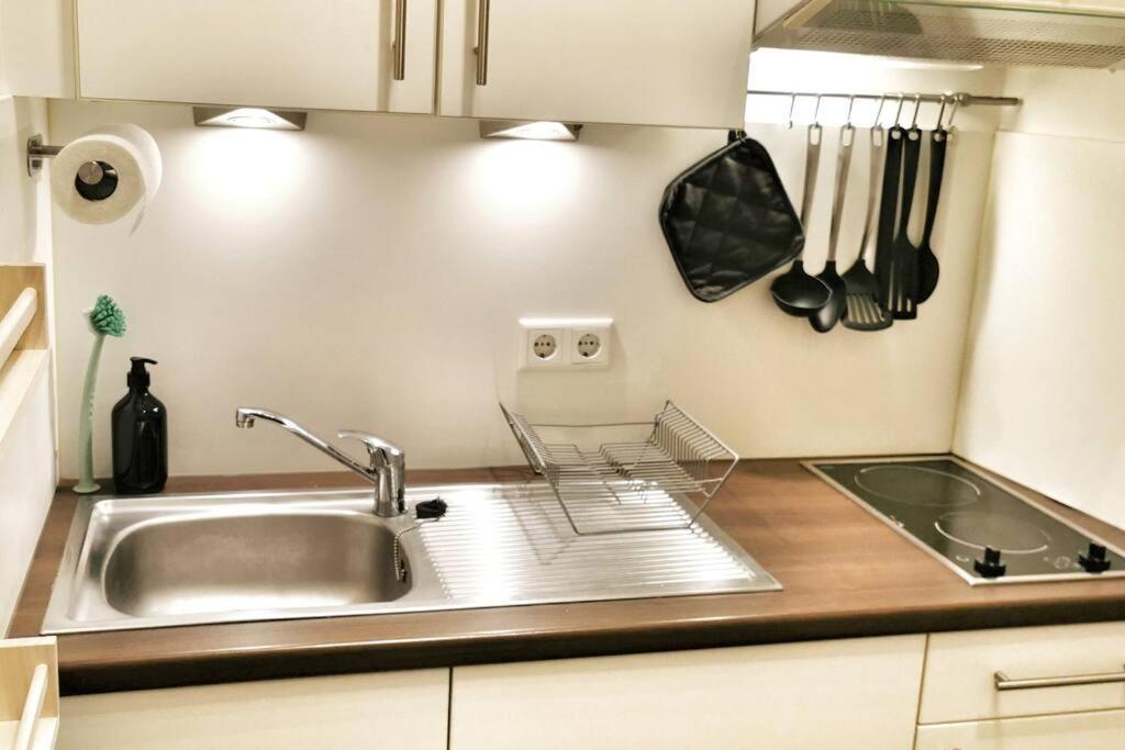 Schoenes Apt In Zentraler Lage Φράιμπουργκ Εξωτερικό φωτογραφία